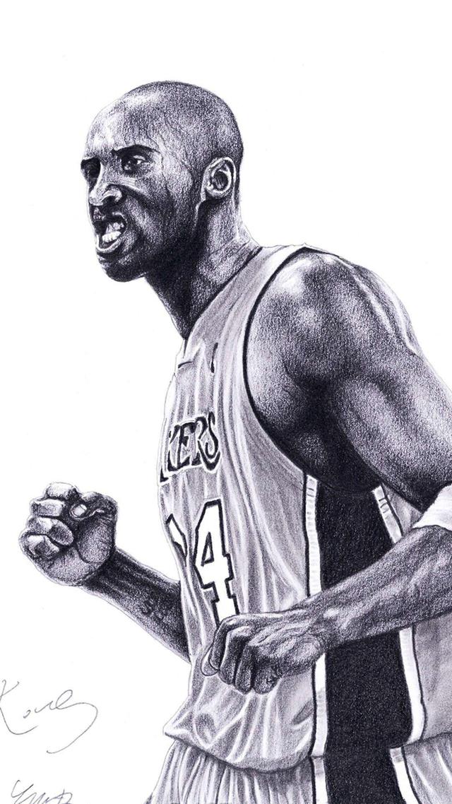 案例解析 案例解析